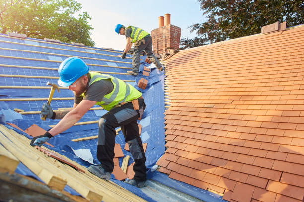 Best Gutter Installation and Repair  in Dayton, TN