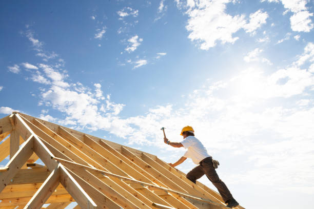 Best Skylight Installation and Repair  in Dayton, TN